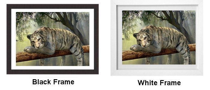 Select Your Frame